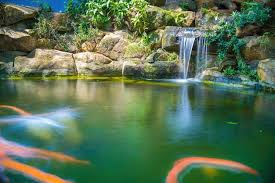 Japanese Garden Waterfalls