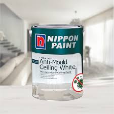 Odour Less Anti Mould Ceiling White