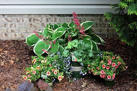 Container Gardening Made Easy House