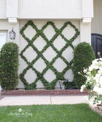How To Make A Diamond Pattern Espalier