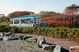Which Portland Maine Trolley Tour