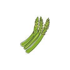 Healthy Organic Asparagus