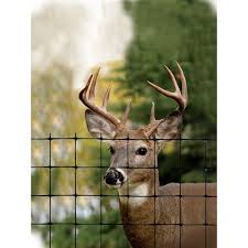 100 Ft Black Plastic C Flex Deer Fence