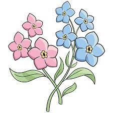 How To Draw Forget Me Not Flowers