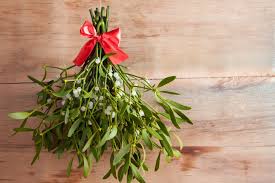 How Mistletoe Became An Icon Of