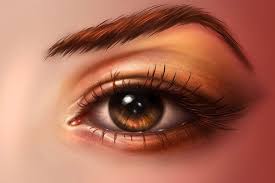 Paint Realistic Eyes In Adobe Photo