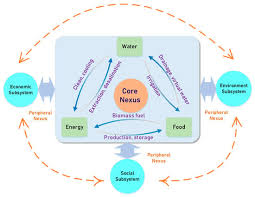 Water Energy Food Nexus In China