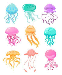 Transpa Jellyfish Images Free