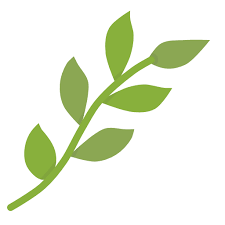 Easter Ecology Green Leaf Nature Spring