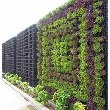 Green Vertical Garden Natural For