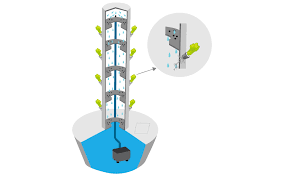 Vertical Hydroponics A Basic