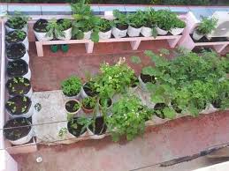Roof Top Kitchen Garden At Rs 100