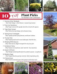 Ten Plants Recommended For Northern Utah