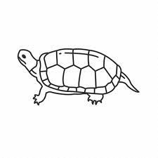 Bog Turtle Turtle Reptile Icon