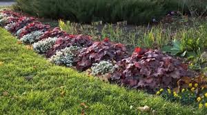 Flower Bed Plants Sample In Autumn In