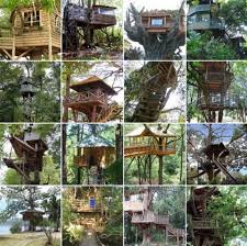 Diy Tree House Plans Ideas Designs