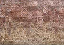 Bim Object Wall Plaster Bricks