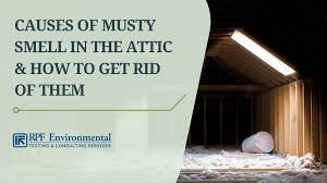5 Causes Of Musty Smell In The Attic