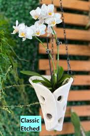 Hanging Orchid Plant Pot Air Orchid Pot
