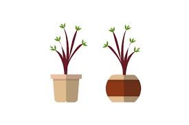 Potted Plants Collection Set Planting A