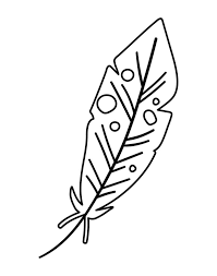 Vector Black And White Feather Isolated