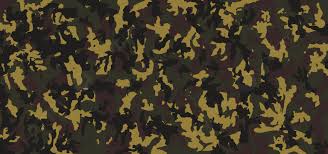 Camouflage Military Texture Pattern