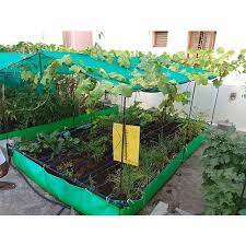 Chennai Rooftop Gardening Services At