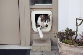 Cat Flaps Into Upvc Door Panels Pet