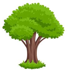 Park Tree Icon Cartoon Forest Game Plant