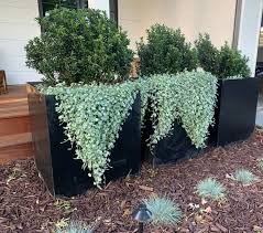 Corten Steel Planter Boxes And Inserts