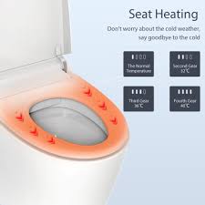Smart Toilet W Bidet Function One