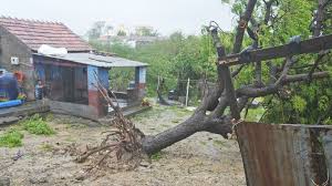 Cyclone Biparjoy Wrecks Havoc On India