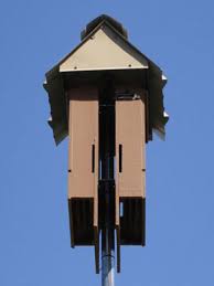 Bat Houses Gardening Solutions