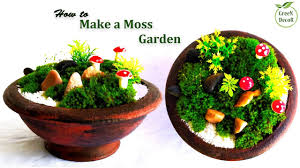 Miniature Moss Garden Moss Growing