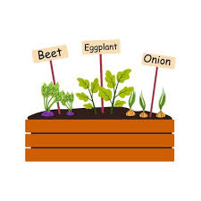 Raised Garden Bed Vector Art Icons