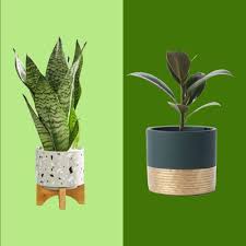 46 Best Pots And Planters On