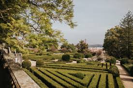 Magical Lisbon Botanical Garden Wedding