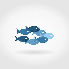 Fish Float Png Vector Psd And