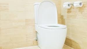 Flush With A Closed Or Open Toilet Lid