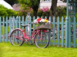 Garden Fence Ideas 2025 Checkatrade