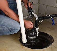 Brenneco Plumbing Spring Sump Pump