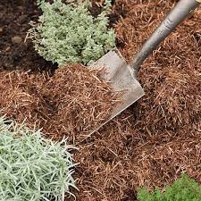 Buy Strulch Organic Garden Mulch