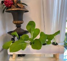 Minimalist Hydroponic Garden Grow Pipe