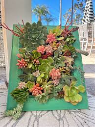 Succulent Wall Planter Using A Picture