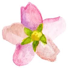 Watercolor Flower Icon Vector Images