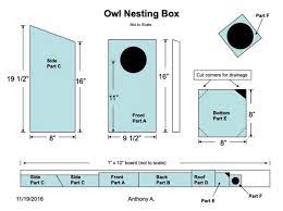 24 Diy Owl House Plans To Attract Birds