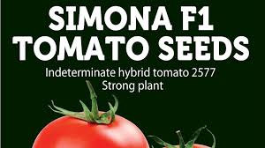 Simona F1 Tomato Variety