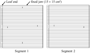 megavoltage beam in dosimetry