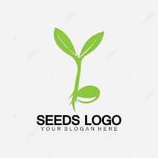 Plants Seed Vector Png Images Plant