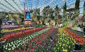Gardens By The Bay Flower Dome 9